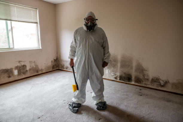 Best Emergency Mold Removal  in Hitchcock, TX